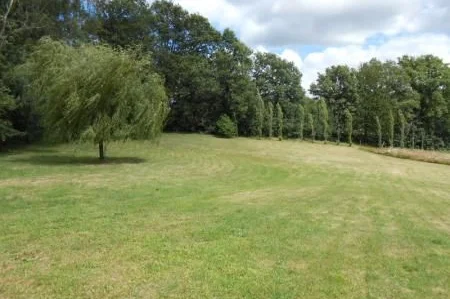 Garden with woodland