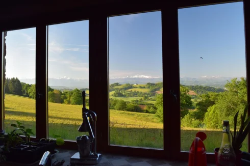 Kitchen View