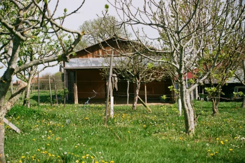 orchard and stable