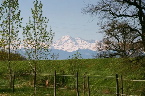 view of Pic du Midi from upper paddock