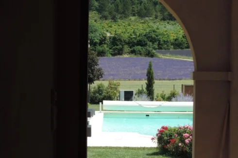 view pool and lavender field