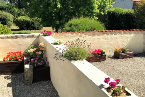 Terraces Festooned with Flowers