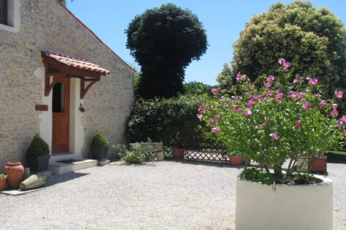 Sunny Central Courtyard