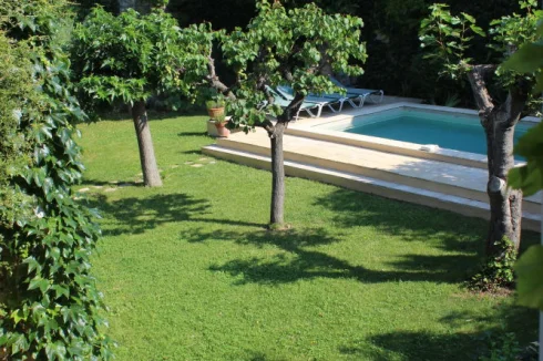 The pool & garden with fig, apricot & cherry trees. Photo taken from a first floor bedroom window.