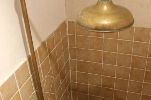 The brass 'flower' shower head