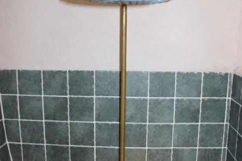 The brass 'flower' shower head