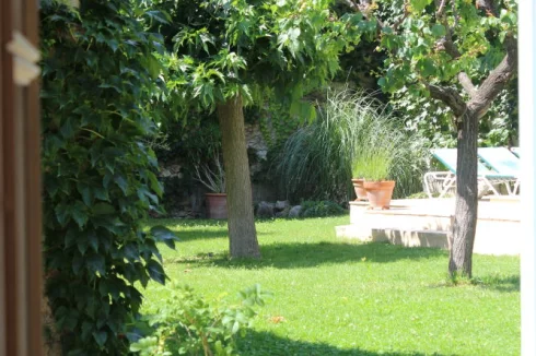 The view of the garden from the kitchen serving hatch