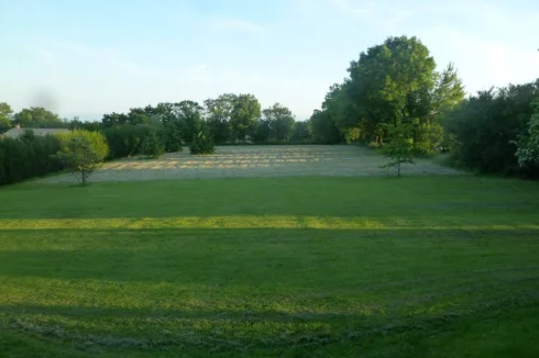 View of garden behind the house