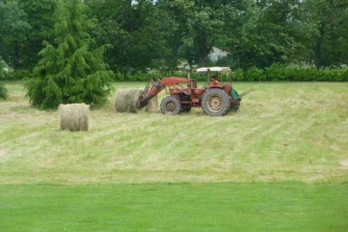 Farmer removing 2 Bales of hay from garden