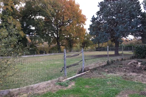 Manège or round pen