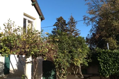 Garden terrace and pergola