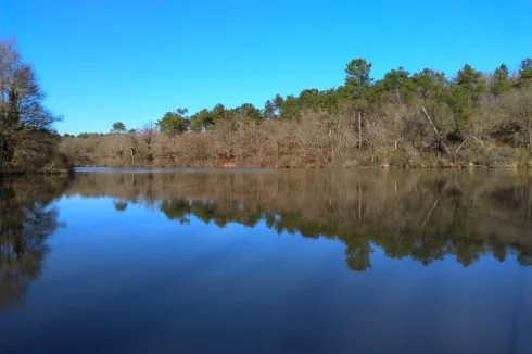 Specimen Lake