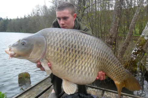 Awesome carp...