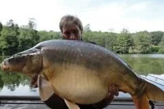 A nice looking carp