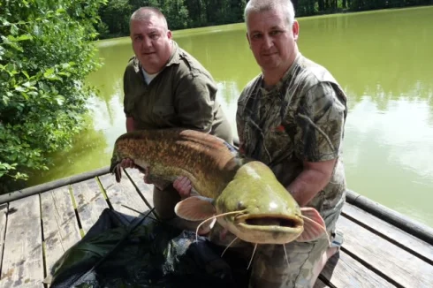 Catfish 76lbs