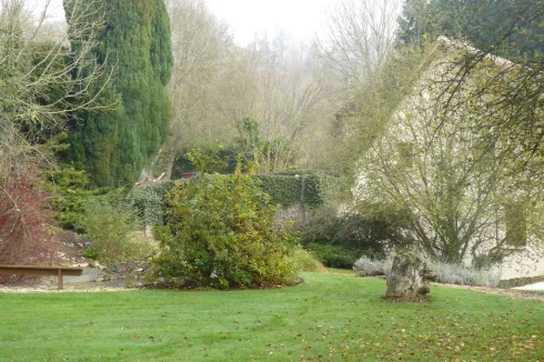 garden in front of house