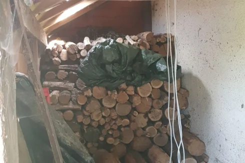 inside wood store