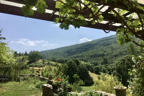 View from garden dining  terrace