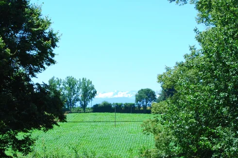 Views of the Pyrenees