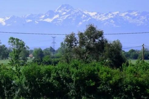 Pyrenees