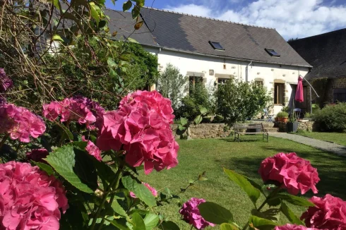 Front of Farmhouse lawn