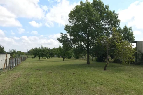 orchard from outer courtyard