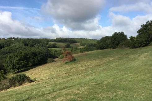 View to south-west