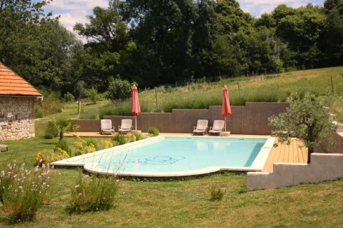 Swimming pool and garden