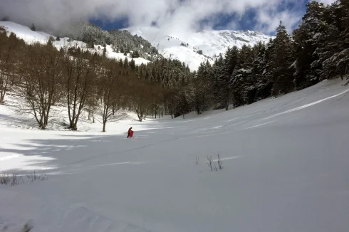 Toboggan run