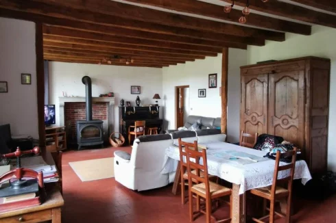 Living room with stove