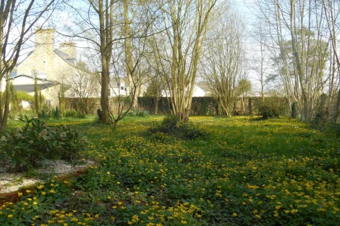 walled garden in spring