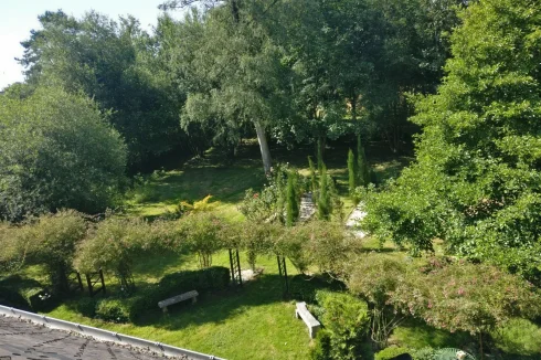 attic view of rear garden