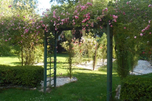 garden trellis with roses