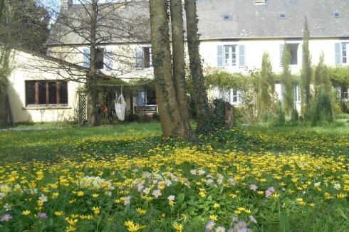 rear garden looking towards summer room