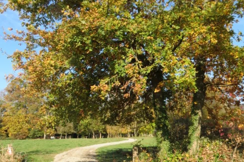 lower field entrance