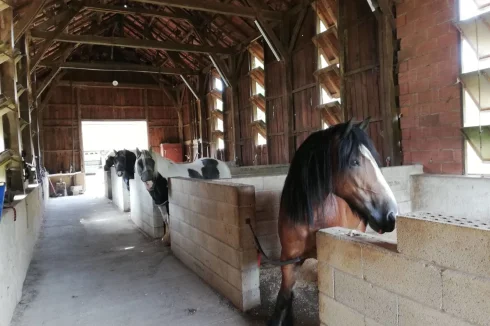 4 large stables