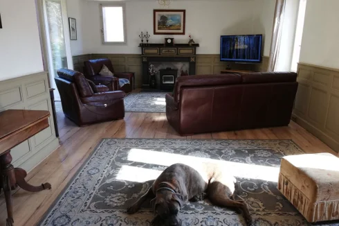 Large Sitting Room