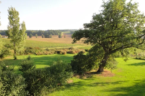 Side view of Garden