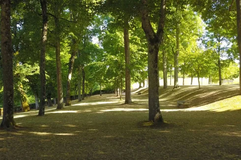 The Park, Part of the 8 Hectares of Land, Including 1 Hectare of Formal Gardens