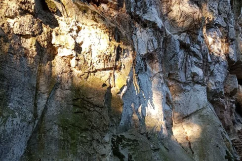 Falaise avec sa source et sa grotte