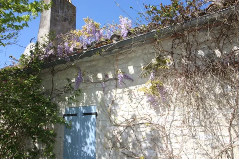 Farmhouse Garden