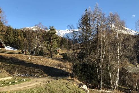 Side View from the Chalet in Spring