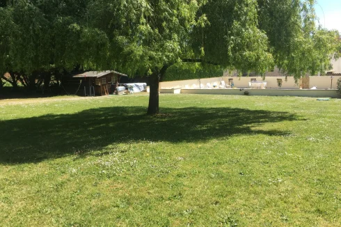 Garden with Pool in Distance