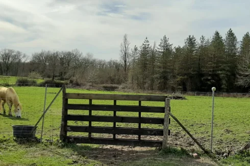 Land