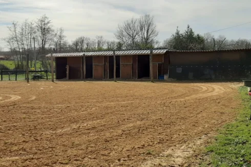 Land with horsebox