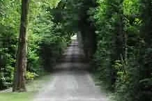 LAPENTYSIF00764ZG