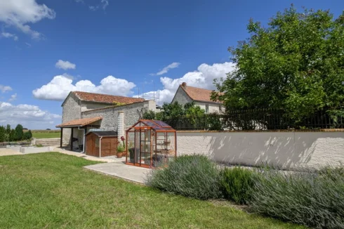 Garden / Kitchen garden