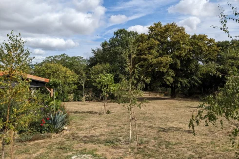 Towards garden and trees