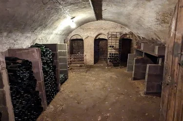 Cellar