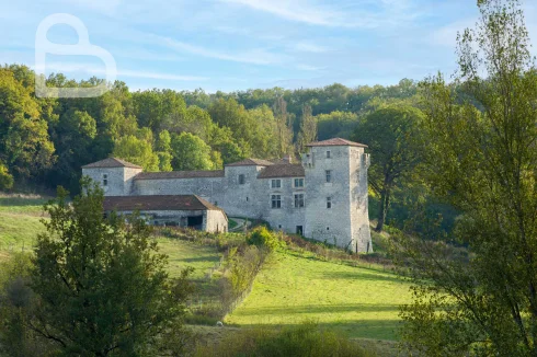 Majestic Medieval Castle with Swimming Pool and 6 Hectares O